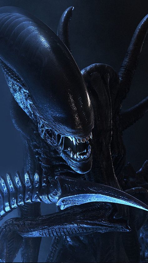 Xenomorph Wallpaper, Alien Iphone Wallpaper, Aliens Movie Art, Resident Evil Tattoo, Giger Alien, Giger Art, Predator Movie, Alien Isolation, Alien 1979