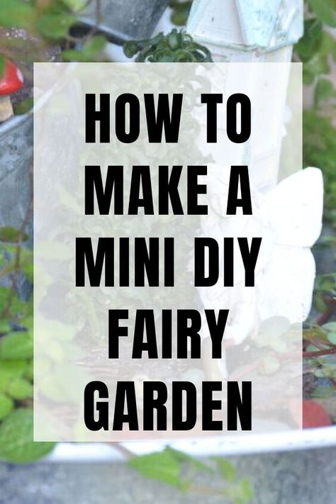 DIY Mini Fairy Garden Fairy Garden Balcony, Diy Fairy Garden Ideas Homemade How To Make, Mini Fairy Garden Ideas, Outdoor Fairy Garden Diy, Miniature Gardens Design Ideas, Diy Mini Fairy, Miniature Fairy Garden Diy, Garden Ideas Homemade, Miniature Garden Diy