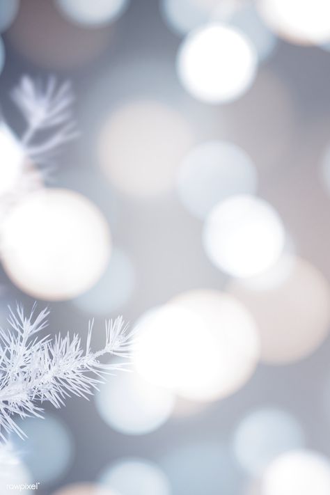 Frosty tree with white bokeh lights background | premium image by rawpixel.com / eyeeyeview Bokeh Christmas, Christmas Dog Decor, Bokeh Wallpaper, Christmas Lights Background, Mobile Phone Wallpaper, Christmas Backgrounds, Bokeh Lights, Bokeh Background, Winter Background