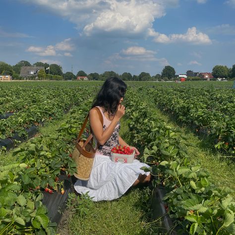 Strawberry Picking Pictures, Strawberry Picking Outfit, Strawberry Cottagecore, Strawberry Summer, Strawberry Picking, Sufjan Stevens, Summer Plans, Summer Goals, Cottagecore Aesthetic