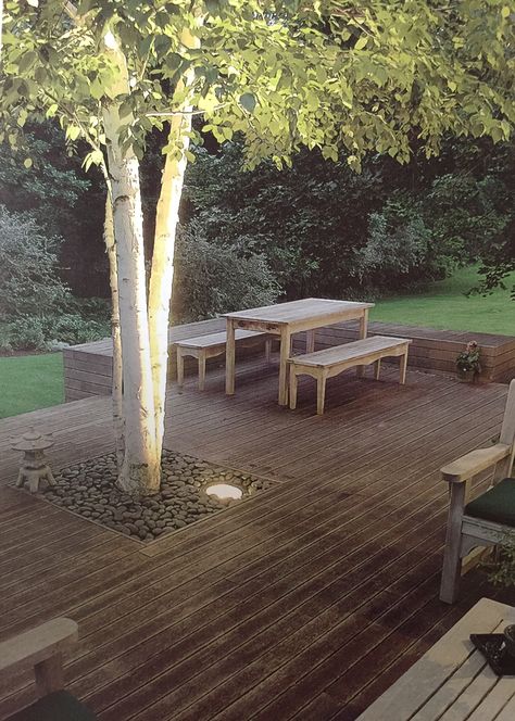 Tree Growing Through Deck, Tree In Deck, Decking Around A Tree, Tree In Decking, Patio With Tree In Middle, Deck With Tree In Middle, Under Tree Seating Area Ideas, Deck With Trees Through Them, Deck Around Tree Ideas