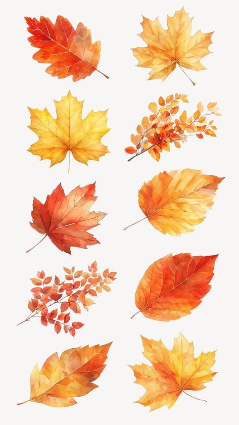 Autumn leaf watercolor set, editable design element | premium image by rawpixel.com / Nunny Autumn Watercolour Illustrations, Autumn Foliage Illustration, Autumn Botanical Illustration, Autumn Leaf Watercolor, Autumn Leaf Illustration, Autumn Leaf Drawing, Autumn Leaves Drawing, Fall Leaves Illustration, Autumn Leaves Illustration