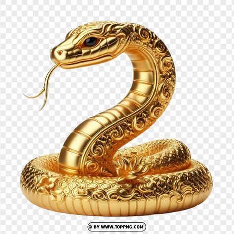 Snake Year 2025, Year Of The Snake 2025, Fish Design Logo, Pics Of Snakes, Snake Png, Snake Decor, Year Of Snake, 3d Snake, Iphone Wallpaper Clock