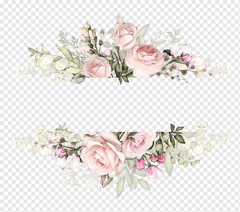 Watercolor Splash Png, Free Watercolor Flowers, Flower Png Images, Watercolor Flower Background, Watercolor Circles, Vintage Png, Floral Border Design, Background Watercolor, Flowers Watercolor