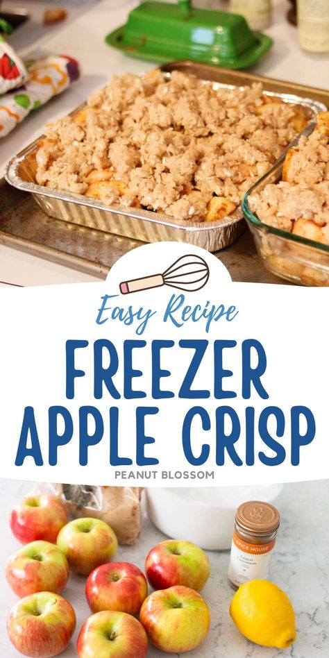 This easy apple crisp recipe is perfect for freezing. Split it in half and make two smaller pans so you have one for dessert tonight and one to save for Thanksgiving or giving to a friend. It's the perfect recipe for baking with kids. Apple Crisp Recipe Freezer, Apple Desserts You Can Freeze, Fresh Apple Desserts Easy 3 Ingredients, Freezer Friendly Apple Crisp, Freezer Apple Crisp Filling, Apple Crisp For Freezer, Can You Freeze Apple Crisp, Frozen Apple Crisp, Frozen Apple Recipes Desserts