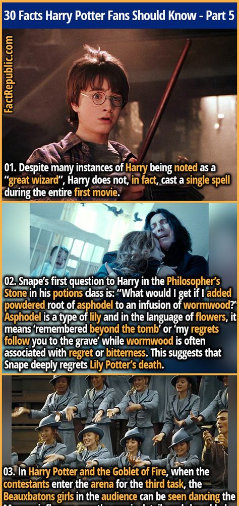 Snape's First Words To Harry, Fluffy Harry Potter, Harry Potter Fun Facts, Elf Cards, Harry Potter Spells List, Harry Potter Theories, Harry Potter Face, Always Harry Potter, Harry Potter Background