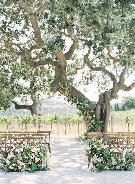 A Floral Adorned Oak Tree Was the Main Event at This Sunstone Winery Summer Wedding Stephanie Cole, Sunstone Winery Wedding, Tree Wedding Ceremony, Sunstone Villa, Oak Tree Wedding, Wedding Tree Decorations, Elopement Planner, Spring Outdoor, Villa Wedding