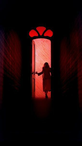 70s Horror, Suspiria 1977, Horror Aesthetic, Dario Argento, Shots Ideas, Wallpapers For Phone, Movie Shots, Film Inspiration, Movie Wallpapers