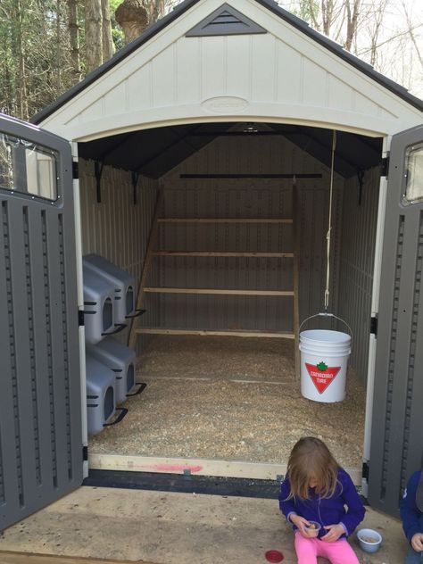 My plastic shed chicken coop build. | BackYard Chickens - Learn How to Raise Chickens Plastic Shed Chicken Coop, Shed Into Chicken Coop, Diy Coop, Chicken Coop Build, Shed Chicken Coop, Chicken Coop Designs Diy, Plastic Shed, Chicken Coop Ideas, Chicken Coop Pallets