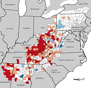 Genealogy Map, Appalachian People, Infant Mortality, By Any Means Necessary, Appalachian Mountains, Family Genealogy, Appalachian Trail, Historical Maps, West Virginia