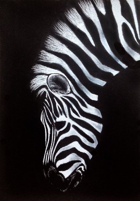 Art On Black Paper, Aril Tatum, Zebra Drawing, Drawing Dragon, Black Canvas Art, Scratchboard Art, Zebra Art, Pencil Drawing Tutorials, Black Paper Drawing