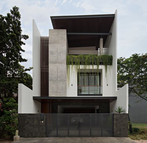 House With Plants, Design Casa Piccola, Modern Minimalist House, Narrow House, Modern Exterior House Designs, Minimal House Design, Minimalist House Design, Modern Architecture House, Design Exterior