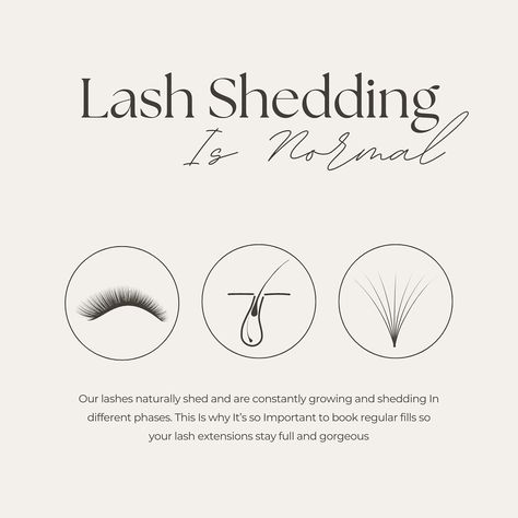 🌟 Lash Shedding is Normal! 🌟 Did you know? Our lashes naturally shed and are constantly growing in different phases. This is a normal part of the lash cycle and nothing to worry about! To keep your lash extensions looking full and gorgeous, it’s essential to book regular fills. This way, you can maintain that stunning, voluminous look all the time. 💁‍♀️✨ Keep your lashes on point by staying on top of your fill appointments! 💖 #yeg #yeglocal #yeglife #yeglashes #yeglashextensions #yeglash #... Lash Extension Graphic, Lash Extensions Pre Appointment, Lash Extensions Promo Ideas, Lash Extensions Marketing Social Media, Eyelash Aftercare Instructions, Lash Page Ideas, Lash Extension Education, Lash Extensions Esthetics, Lash Extensions Information