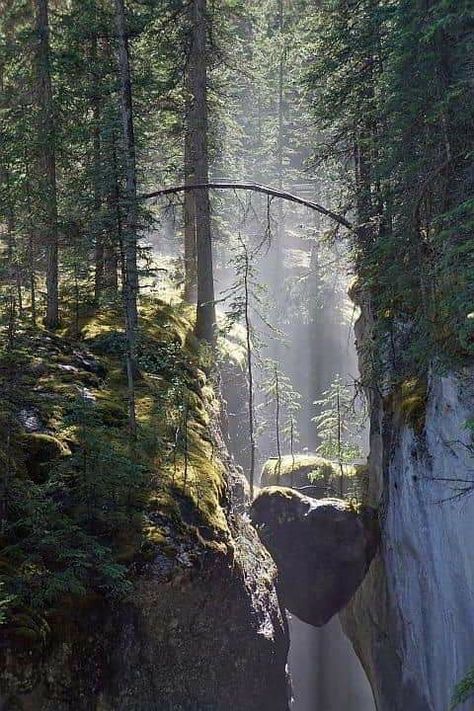 Maligne Canyon, Jasper National Park Canada, Solo Trips, Canada National Parks, Jasper National Park, Dream Vacations Destinations, I Want To Travel, Beautiful Places In The World, Canada Travel