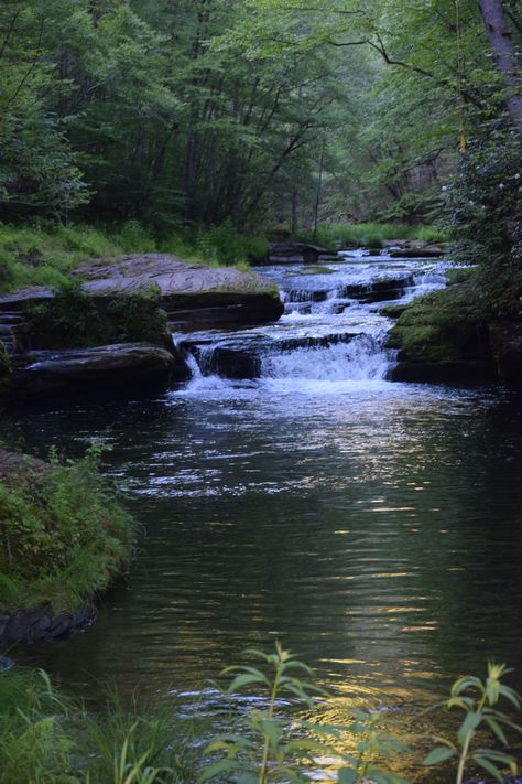 Dark Lakes Aesthetic, Waterfall Lake Aesthetic, Nature Woods Aesthetic, Waterfall Forest Aesthetic, Forest And Lake Aesthetic, Beautiful Lake In Forest, Forest Lake Aesthetic Dark, River In A Forest, River Forest Aesthetic