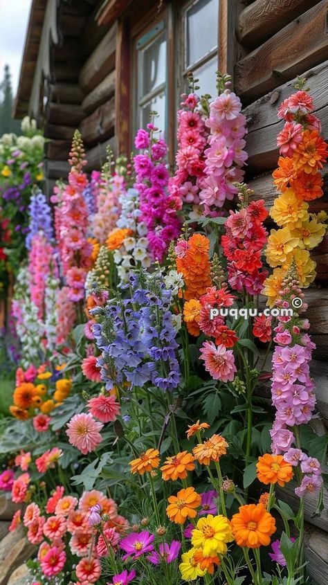 Romantic Cottage Garden, English Back Garden, Romantic English Garden, Container Cottage Garden, Cottage Core Garden Ideas, At Home Flower Garden, Cottage Container Garden, Backyard Flower Garden Aesthetic, Cottage Garden Flower Bed Ideas