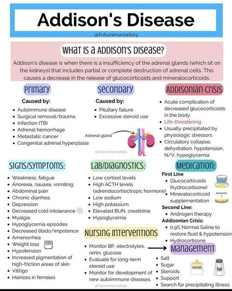 Pathophysiology Nursing, Nursing School Studying Cheat Sheets, Nursing School Organization, Addison's Disease, Nursing School Essential, Nursing Study Guide, Medical School Life, Nursing School Motivation, Nurse Study Notes