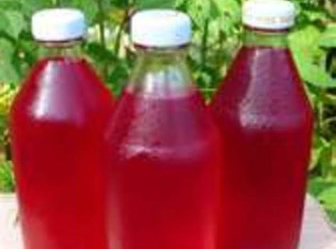 Raspberry, Blackberry Or Blueberry Cordial Recipe Watermelon Vodka Slush, Liqueur Recipes, Raspberry Cordial, Cordial Recipe, Homemade Liquor, Lucy Maud Montgomery, Liqueurs Recipes, Homemade Wine, Homemade Drinks