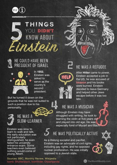 Albert Einstein Projects, Facts About Albert Einstein, Einstein Project, Albert Einstein Facts, About Albert Einstein, Wax Museum Project, Albert Einstein Poster, Biography Project, Eye Facts