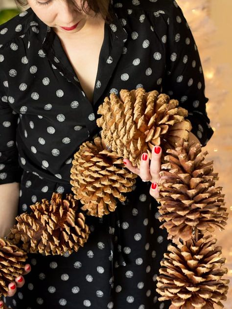 Pinecones Decor, Bird Bunting, Adirondack Art, Pinecones Crafts, Giant Pine Cones, Large Pine Cones, Pinecone Crafts, Pinecone Garland, Cones Crafts