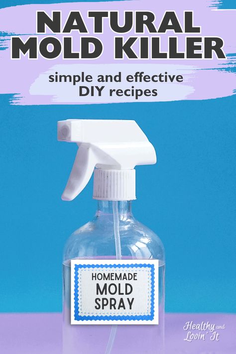 Need a natural mold remover? These DIY mold cleaner recipes are made from natural mold killers like tea tree oil and vinegar. Use these ideas to get rid of mold on leather, wood, and bathroom walls. Mold Remover On Wood, Bathroom Mold Cleaner, Best Mold Remover, Cleaning Shower Mold, Remove Mold From Walls, Diy Mold Remover, Remove Mold From Shower, Mold Cleaner, Bathroom Mold Remover