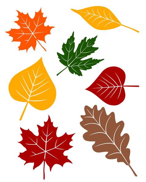 fall leaves printable from no time for flash cards.com Fall Leaf Printouts, Fall Leaves Cutout Template, Autumn Leaves Template, Autumn Leaves Printable, Fall Leaf Cutout, Fall Leaves Printables, Fall Leaves Template Free Printable, Printable Fall Leaves, Leaves Template Free Printable