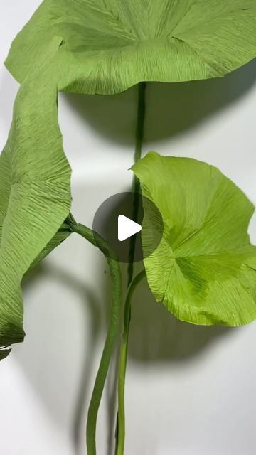 Giant Lotus Paper Flower, Diy Monstera Leaf, Paper Leaf Craft, Paper Mache Plants, Diy Lotus Flower, Paper Plants Diy, Giant Paper Flower Tutorial, Giant Flowers Diy, Paper Lotus