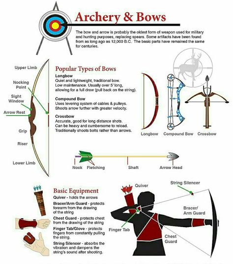 Bow Types Archery, Different Types Of Bows Archery, Types Of Bows Archery, Archery Tips For Beginners, Archery Knowledge, Archery Techniques, Archery Aesthetic, Archery Lessons, Archery Training