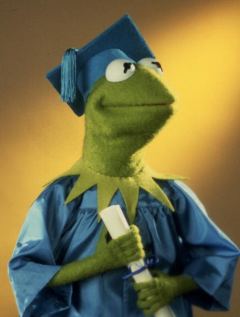 Kermit Meme, Kermit Funny, Frog Wallpaper, The Muppet Show, Kermit The Frog, Wall Papers, Reaction Pics, Funny Wallpaper, 웃긴 사진