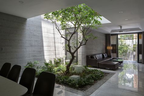 Central Atrium, Indoor Courtyard, Minimalist Dekor, Courtyard Landscaping, Interior Landscape, Courtyard Design, Internal Courtyard, Home Garden Design, Patio Interior