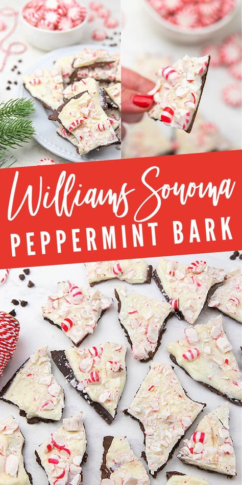 Williams Sonoma Peppermint Bark COPYCAT Recipe! Christmas Bark Recipes, Christmas Baking Easy, Peppermint Dessert, Peppermint Treats, Peppermint Bark Recipes, Peppermint Recipes, Easy Christmas Treats, Christmas Baking Recipes, Peppermint Christmas