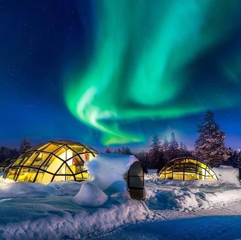 Stay a night in these glass-domed igloos in Finland to see the northern lights like never before. ( Image Credit: @alaa_oth). . . . #finland #northernlights #aurora #auroraborealis #snow #igloo #Scandinavia #lights #arctic #snowylandscape #green #earthpix #mothernature #earth #travel #travelblog #travelphotography #naturephotography Kakslauttanen Arctic Resort, Paradise Travel, Fast Life, See The Northern Lights, The Northern Lights, Destination Voyage, The Aurora, Winter Vacation, Travel Insurance