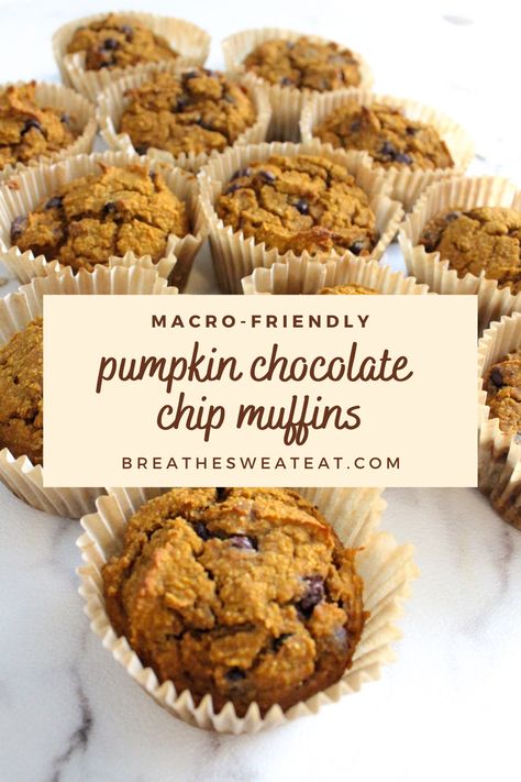 These 64 calorie, macro friendly pumpkin chocolate chip muffins are perfect for breakfast, meal prepping and a sweet treat. You'll only need one bowl and a few simple ingredients to prepare the dough, making these muffins easy to make and easy to clean up. Better yet, these muffins are gluten free, dairy free & refined sugar free. 😋 Macro Friendly Muffins Gluten Free, Pumpkin Chocolate Chip Muffins Protein, Macro Pumpkin Muffins, Macro Friendly Chocolate Desserts, Pumpkin Macro Recipes, Macro Friendly Breakfast Muffins, Macro Friendly Pumpkin Muffins, Macro Friendly Muffin Recipes, Macro Friendly Fall Desserts