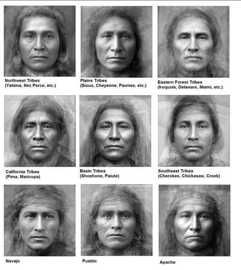 Typical Facial Features American Native Average Face, Native American Spirituality, American Quotes, Salem Witch Trials, Native American Wisdom, American Indian History, Native American Men, Native American Symbols, Native American Pictures