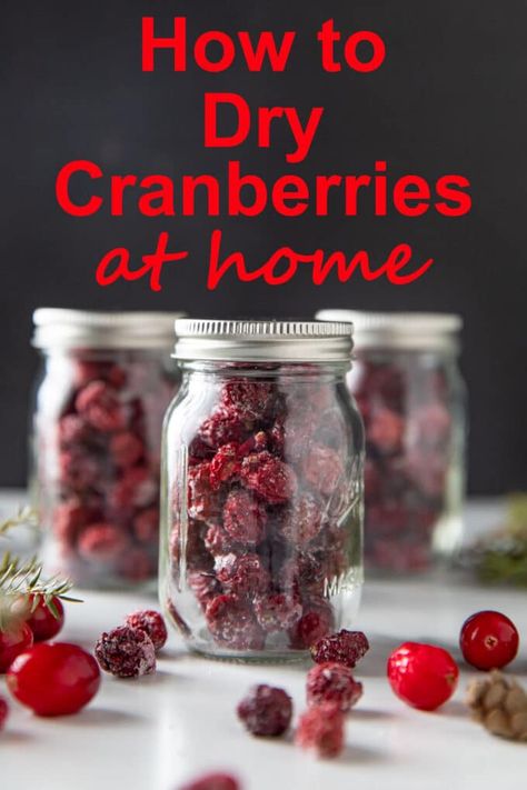 How To Dry Fresh Cranberries, Dehydrated Cranberries In Dehydrator, How To Make Dried Cranberries, Diy Dried Cranberries, Dehydrating Cranberries In Dehydrator, Drying Cranberries In Oven, Homemade Dried Cranberries, How To Grow Cranberries, How To Dehydrate Cranberries