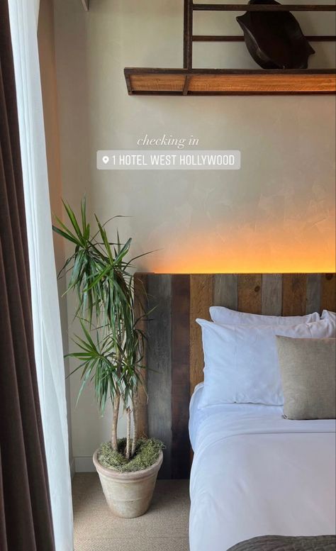 A picture of a hotel room with a bed that has white sheets and a tall plant in a pot. Staycation Picture Ideas, Hotel Ig Story Aesthetic, Honeymoon Story Ideas, Hotel Stories Instagram, Hotel Pics Ideas, Honeymoon Instagram Story, Hotel Content Ideas Instagram, Hotel Instagram Post Ideas, Bedroom Instagram Pictures