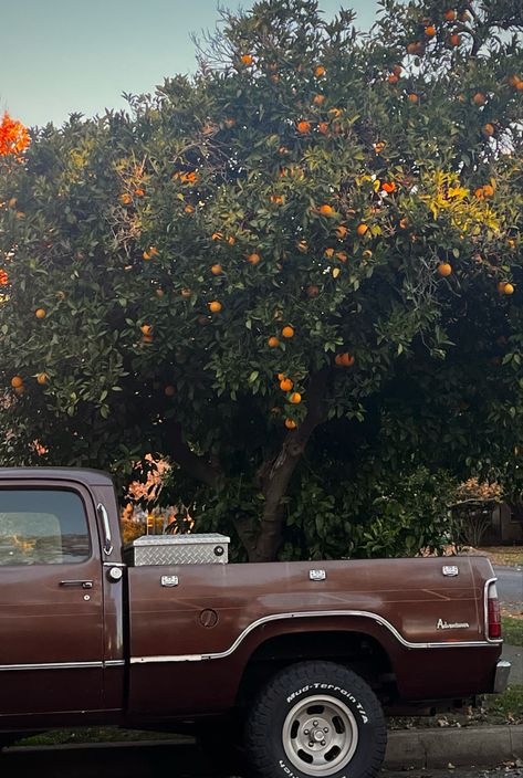 Old truck aesthetic Vintage Trucks Aesthetic, 1970s Southern Aesthetic, Old Pick Up Truck Aesthetic, Farm Truck Aesthetic, Country Bumpkin Aesthetic, Calm Country Aesthetic, Truck Asthetic Picture, Truck Guy Aesthetic, Out In The Country Aesthetic