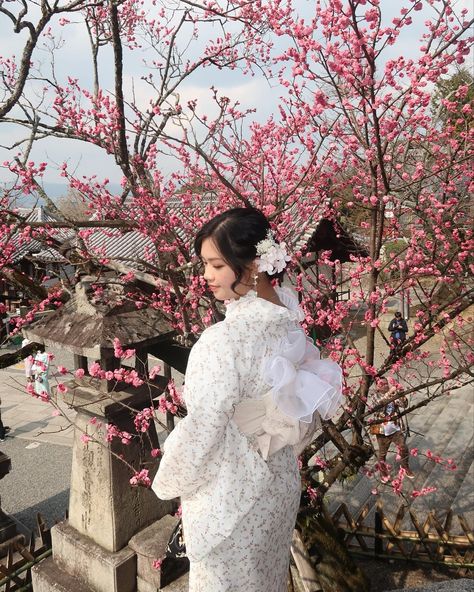 👘*ೃ༄ - - - kimono rental in kyoto^^! Kimono Portrait, Kimono Photography, Kimono Photoshoot, Quince Pics, Kimono Kyoto, Kimono Rental, March 4, Instagram Inspo, Photoshoot Ideas