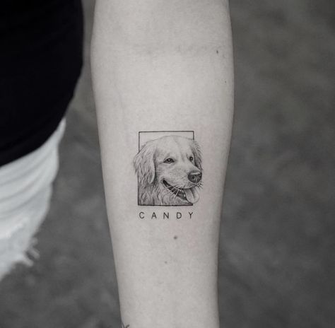 Tatoo Dog, Dog Portrait Tattoo, Small Dog Tattoos, Cute Animal Tattoos, Tier Tattoo, Dog Memorial Tattoos, Inner Forearm Tattoo, Memorial Tattoos, Dog Tattoo