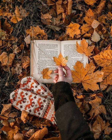 Nature Fall Photography, Aesthetic Fall Book Pictures, Autumnal Book Aesthetic, Fall Book Reading Aesthetic, Autumn And Books Aesthetic, Books Nature Aesthetic, Autumn Book Wallpaper, Reading In Fall Aesthetic, Fall Book Photography