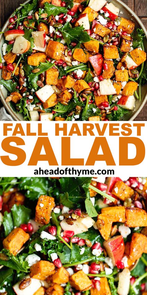 Salad With Roasted Butternut Squash, Salad With Butternut Squash, Harvest Salad Recipes, Fall Harvest Salad, Autumn Salad Recipes, Butternut Squash Salad, Harvest Salad, Autumn Salad, Fall Dinner