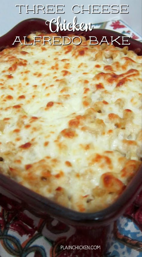 Macaroni Alfredo, Chicken Alfredo Bake Recipe, Alfredo Bake, Chicken Alfredo Bake, Chicken Alfredo Recipes, Alfredo Sauce Recipe, Cheese Chicken, Pasta Casserole, Alfredo Recipe