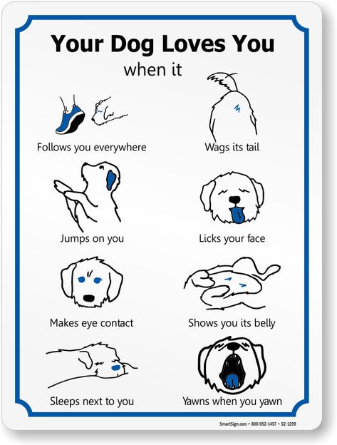 How To Tell Your Dog You Love Them, How Do Dogs Show They Love You, Dogs Things, Dog Body Language, Notes Ideas, Cute Dog Photos, Dog Tips, About Dogs, Dog Facts