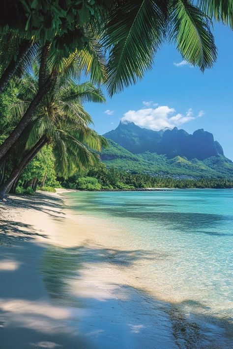 Escape to the exotic beauty of the Indian Ocean's islands. 🌍✨ From the serene beaches of Mauritius to the luxurious resorts of the Seychelles and the vibrant reefs of the Maldives, find your perfect paradise. 🏝️💙 #IndianOceanIslands #TropicalEscape #IslandParadise #BeachGetaway🏝️🌍✨ #IndianOceanIslands #BeachGetaway #IslandEscape Mauritius Beach, Beautiful Beaches Paradise, Summer Beach Pictures, Mauritius Island, Summer Scenes, Beautiful Scenery Pictures, Exotic Beaches, Ocean Pictures, Ocean Landscape