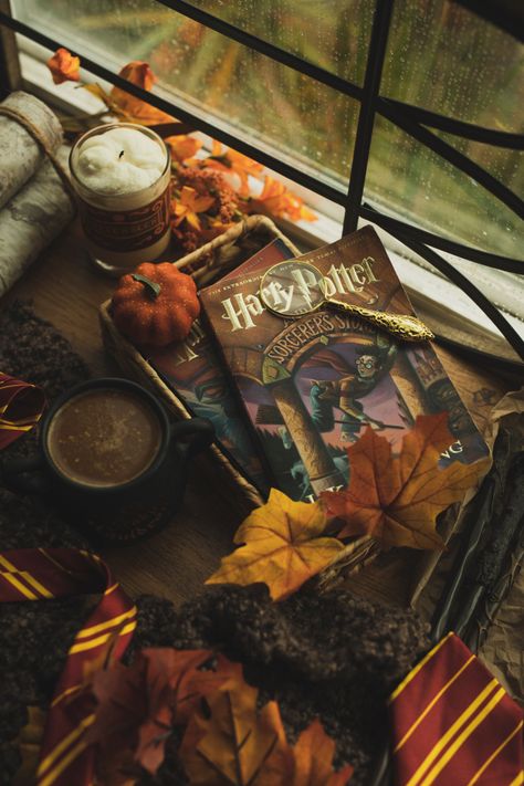 Wood grain table next to an open window it’s a gloomy day on the table there’s fall greenery, Harry Potter books, coffee a fall candle Harry Potter Book, Fall Mood Board, Hogwarts Aesthetic, Autumn Magic, Albus Dumbledore, Harry Potter Wallpaper, Harry Potter Books, Harry Potter Aesthetic, Fall Pictures