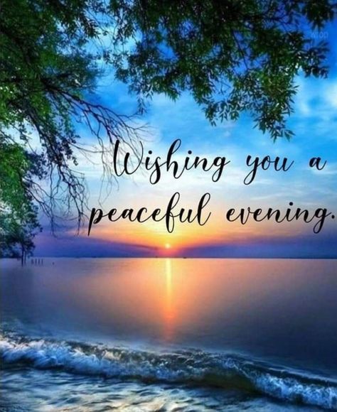 Have A Peaceful Evening, Blessed Evening, Good Evening Quotes, Family Day Quotes, Evening Pics, Good Evening Love, Good Night Sleep Well, Evening Wishes, Pleasant Dreams