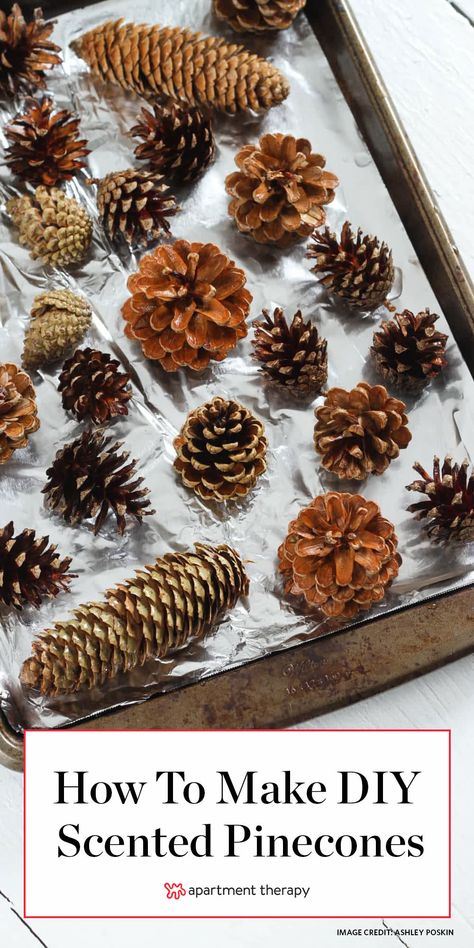 Pinecones Crafts, Oppgaver For Barn, Pine Cone Christmas Decorations, Scented Pinecones, Pinecone Crafts Christmas, Pinecone Crafts, Potpourri Recipes, Diy Scent, Pine Cone Art