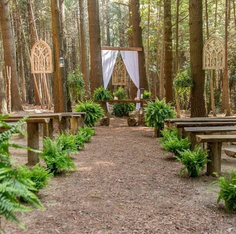 Ontario Wedding Venues Outdoor, Fern Ceremony Decor, Fern Wedding Ceremony, Ferns For Wedding Ceremony, Boston Fern Wedding Decor, Outdoor Wedding Woods, Outdoor Woodsy Wedding Ideas, Wedding Venue Woods, Ferns Wedding Decor