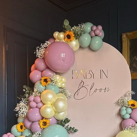 Balloons By Gracie Jaynes on Instagram: "🌻 🍃 B A B Y  I N  B L O O M 🍃🌻   Soft pink sailboard with full balloon arch, with fresh flowers from @theflowerhouseibstock 🌻💕   Thank you for choosing us @beckyandthebutcher 💕🌻   Venue @peartreewoodhouse   @blow_it_with_bex @dressyourdaydream @proballoonshop @balloonmarket.uk @funtasia.party @shimmerandconfetti @theeventcollectivex @peartreewoodhouse  @theflowerhouseibstock   #babyinbloom #babygirl #babyshower #2024baby #baby #sunflower #gypsophila #peartreewoodhouse #flowerhouseibstock #balloonsbygraciejaynes #babyshpwerdecor #celebrate #mumtobe #balloonarch #leicestershire #smallbusiness" Wildflower Party Balloon Arch, Wildflower Balloon Backdrop, Wildflower Baby Shower Balloon Arch, Flower Balloon Arch, Balloon Arch With Flowers, Baby In Bloom Balloon Arch, Love Is In Bloom Balloon Arch, Baby In Bloom Backdrop, Baby In Bloom Shower Ideas Bright Colors