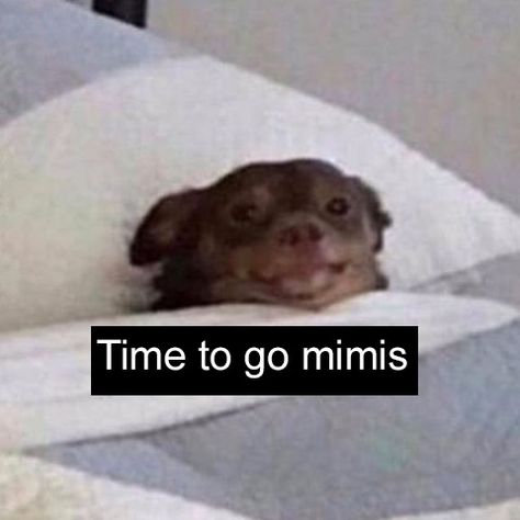 Go To Bed Memes Humor, Waking Up Memes Funny, Going To Sleep Meme Funny, Sleeping Memes Humor, Wake Up Meme Funny, Are You Sleeping, Good Night Meme Cute, Sleep Memes Funny, Goodnight Funny Pictures